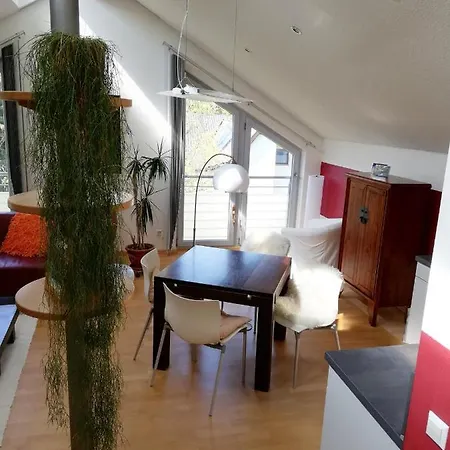 Atelierwohnung Lichtdurchflutet 70q Διαμέρισμα Πασάου